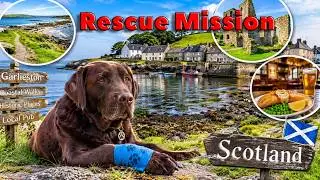 Our Scotland Adventure Took a Turn! 😱 an Unexpected Dog Rescue! How Do We Get Bear Home?