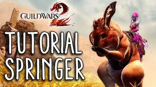 Guild Wars 2 - Tutorial Springer