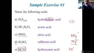 Chapter 11: Lecture 1 - Bronsted-Lowry Acid/Base Definitions