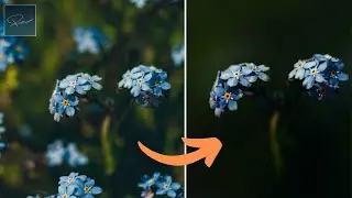 Hintergründe minimalisieren  / weichzeichnen in 