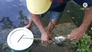 Biyaya sa ilog by Clarence TV ( anak pawis)