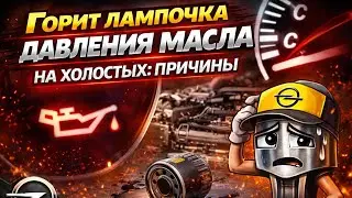 №123. Горит лампочка давления масла на холостых: причины