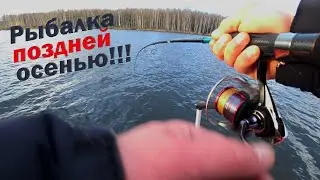 ПОИСК КАПРИЗНЫХ СУДАКОВ!!! ПОЛЕЗНЫЕ МОБИЛЬНЫЕ ПРИЛОЖЕНИЯ ДЛЯ РЫБАЛКИ!!!