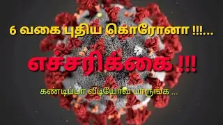 #coronaupdate Corona virus types கொரோனாவில் 6 வகை : ஆய்வாளர்கள் கண்டுபிடிப்பு