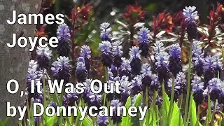 James Joyce - O, It Was Out by Donnycarney
