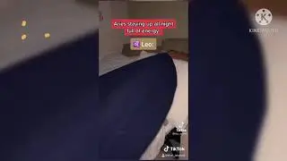 The Mannii Show Tiktok Compilation!￼