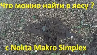 Что можно найти с Симплексом в лесу