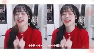 [뽀구미 도네용] 뽀쿠란보