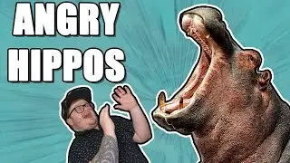 Dungeon Master Therapy: Angry Hell Hippos