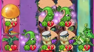 Stonk⁴ + Bird Of Paradise²