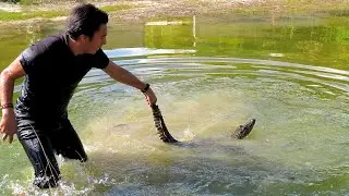 ¿Cómo atrapar un cocodrilo 🐊? TUTORIAL