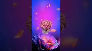 Открытка "Для тебя!"