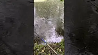 ✅Мощная атака щуки, полное видео на днях! #спиннинг#рыбалка#щука#рекомендации#топ