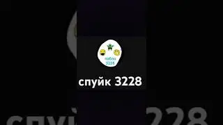 Оцениваю АВЫ подписчиков!💥 