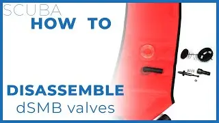 How To Disassemble and Clean dSMB Valves 