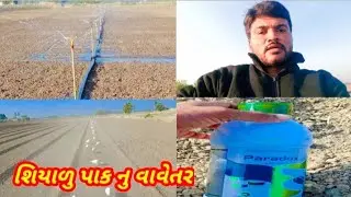 શિયાળુ પાક નુ વાવેતર||ઘણા નિ ખેતી||Cultivation of wheat