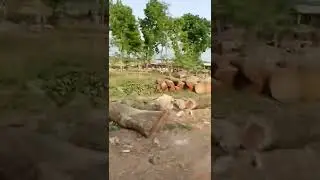 motivation video