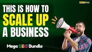 Mega SEO Bundle