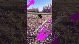 Отработать мячик-наше всё