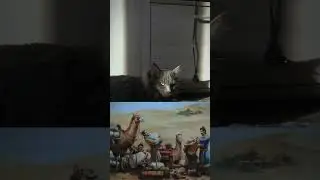 СИБИРСКАЯ КОШКА. КАК ОНА ПОПАЛА В РОССИЮ? 