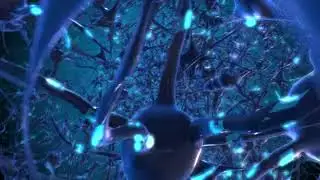 Zoom Background | Video Background | Loop Background | Free Stock Footage