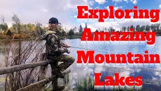 Exploring AMAZING High Mountain Lakes | Wild Trout Fishing #shorts