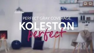 Everything You Need to Know About Koleston Perfect | Wella Professionals