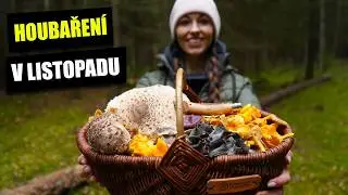 Jak poznat přemrzlé houby? Houby rostoucí v listopadu