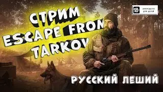 STREAM 18+ ТАРКОВ ДЕРЖИТ МЕНЯ  ЗА ЯЙЦА  