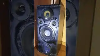 Самодельная колонка.               #басс #колонка