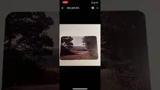 How to Save an Image on Google Drive to Your Camera Roll