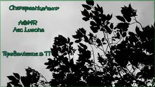 ASMR [M4F] -Luocha Лоча  X Listener. Ролевая игра. Honkai: Star Rail #asmr #roleplay #honkaistarrail