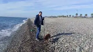 Харлюша на море