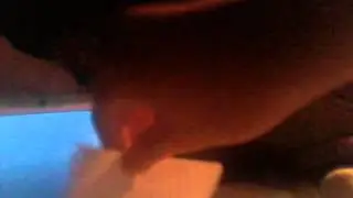 Seth Simunek Watches THX Logo and Gets Grounded