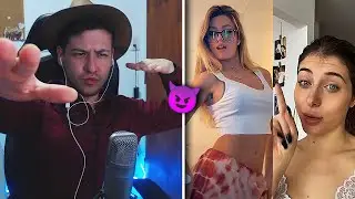 CONTENIDO DE CORNUDAS