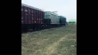 Погрузка Зерном ЖД Вагоны Хоппер. Экспорт Зерна из РФ. пшеница. ячмень. кукуруза. цены. Россия.