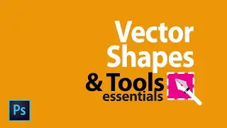 Photoshop Vector Shapes essentials & Tools