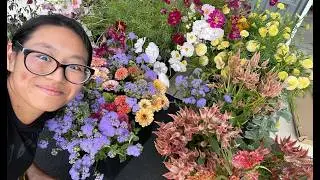 How many flowers can I grow weekly? + Top 3 cut & come again flowers