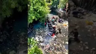 Team Water Clean Up || ViralHog