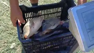 Lacul Boteni 1 alta REPOPULARE CU CRAP pentru pescuit de toamna. Sezonul de crap trofeu +5 kg bucata