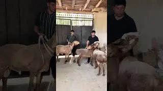 Барака болди🤝
