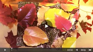 Happy Autumn 2014