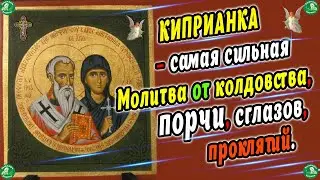 Сильнейшая Молитва от Всех Видов Порчи! ✝ Молитва Священномученику Киприану и Мученице Иустине ☦ 🧙