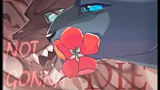 Warriors Cats - Not Gonna Die