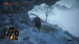 DARK SOULS™ III: The Fire Fades™ - Crazy wolf