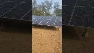 USINA SOLAR DE INVESTIMENTO INJETANDO ENERGIA PRA COOPERATIVA #energiasolar #eletrica