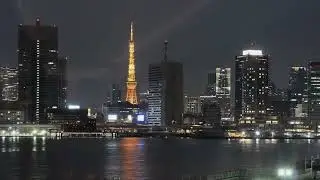 midnight flight