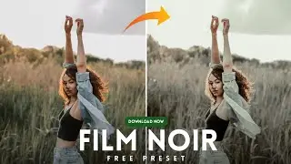 Lightroom Film Noir Preset - Lightroom Mobile | Black Preset | Film Preset