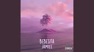 Bebesita