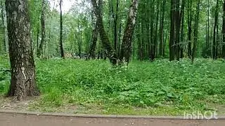 Сходила в поликлинику и в парк.